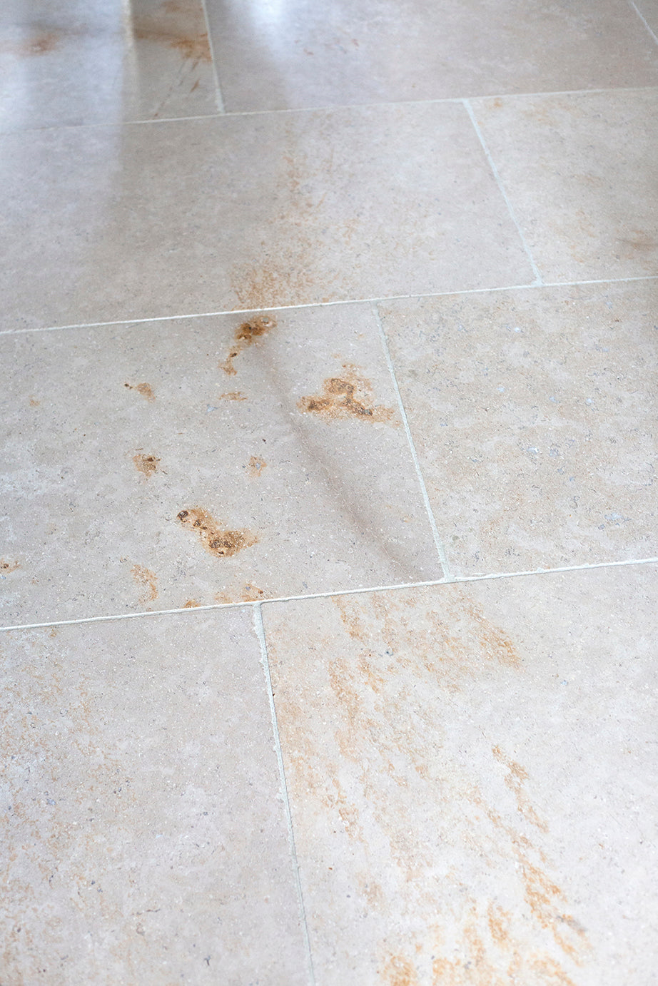 Dijon Blend Tumbled Limestone Tiles