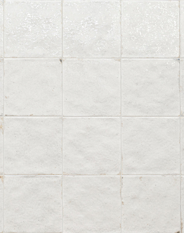 Flora Ivory Crackle Glaze Decorative Tiles