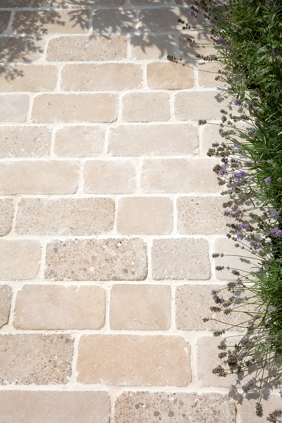 Sorrento® Aged Tumbled Limestone Cobbles